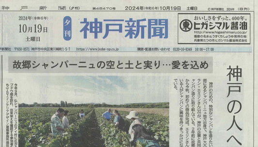 神戸新聞に掲載されました